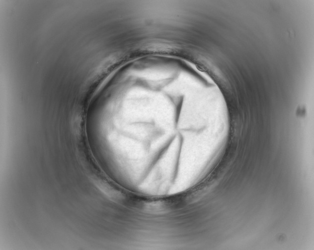 X0000090480309200708102203