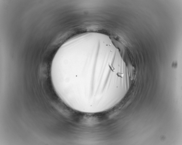 X0000090480311200708102203