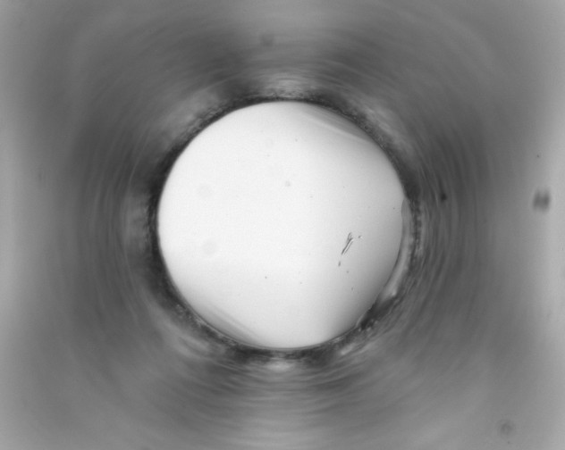 X0000090480312200708102203