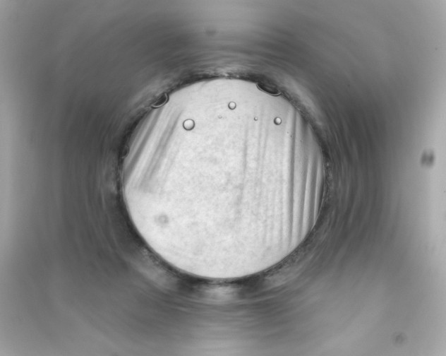 X0000090480313200708102203