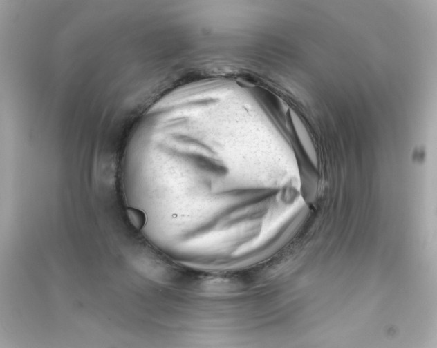 X0000090480315200708102202