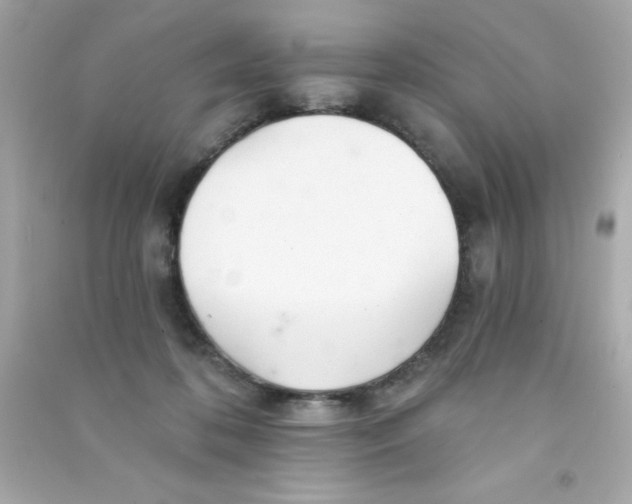 X0000090480316200708102202