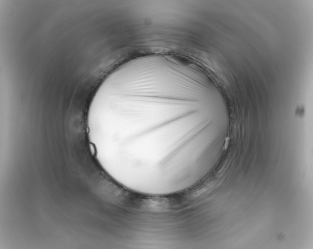 X0000090480317200708102202