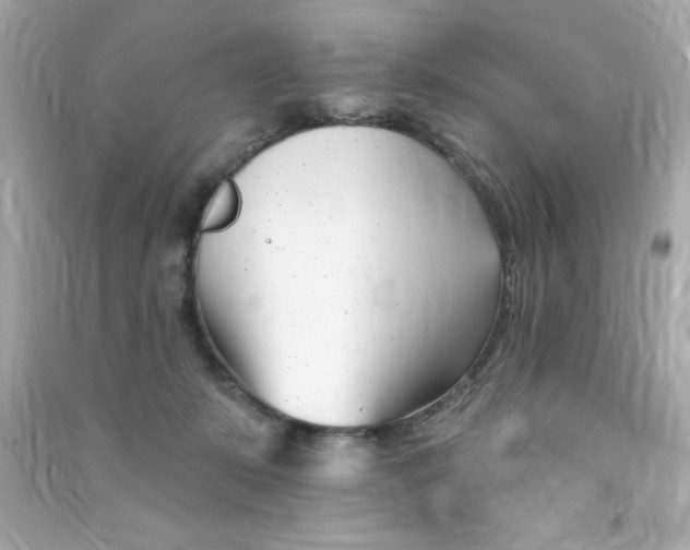 X0000090480319200708102202