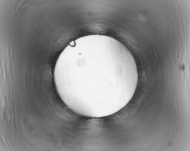 X0000090480320200708102202