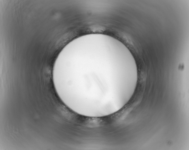 X0000090480321200708102202