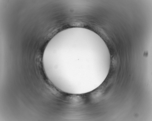 X0000090480322200708102202