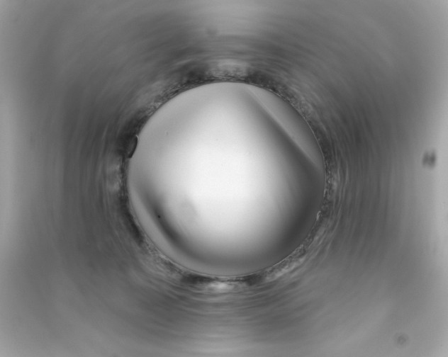 X0000090480323200708102202