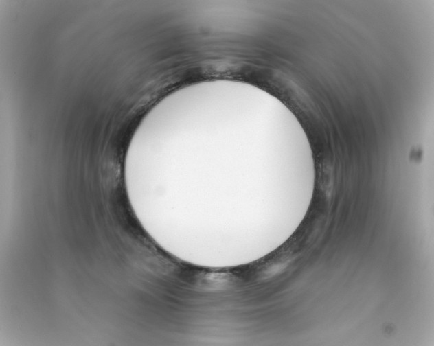 X0000090480324200708102202
