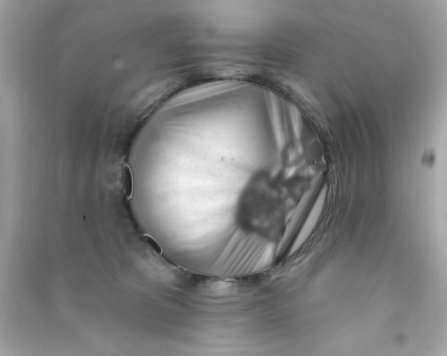 X0000090480325200708102202