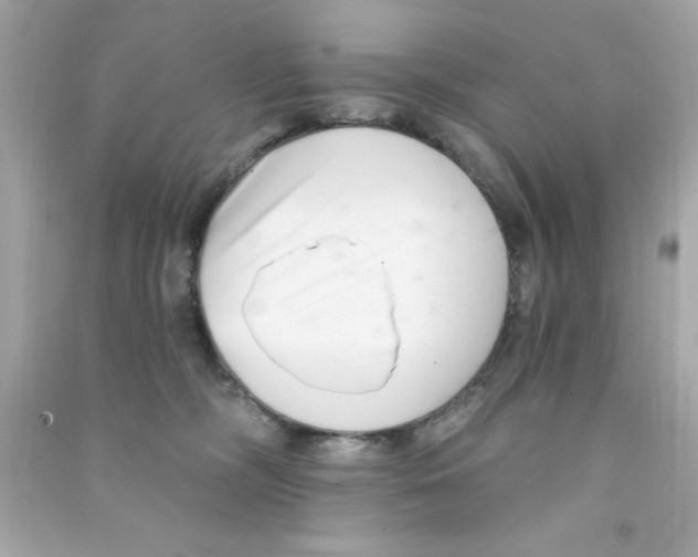 X0000090480326200708102202