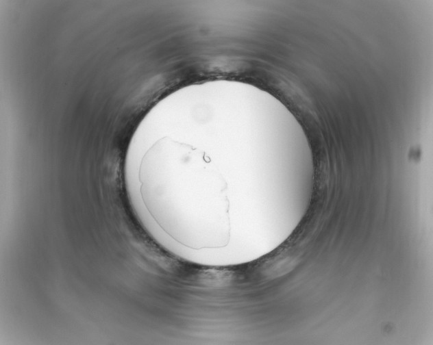 X0000090480328200708102202