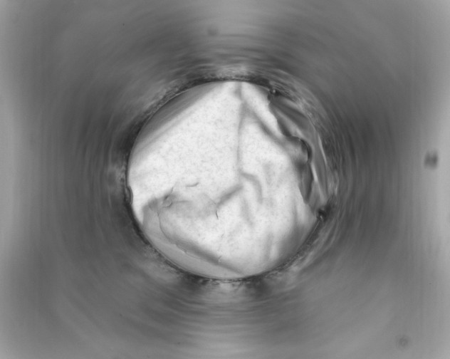 X0000090480329200708102202