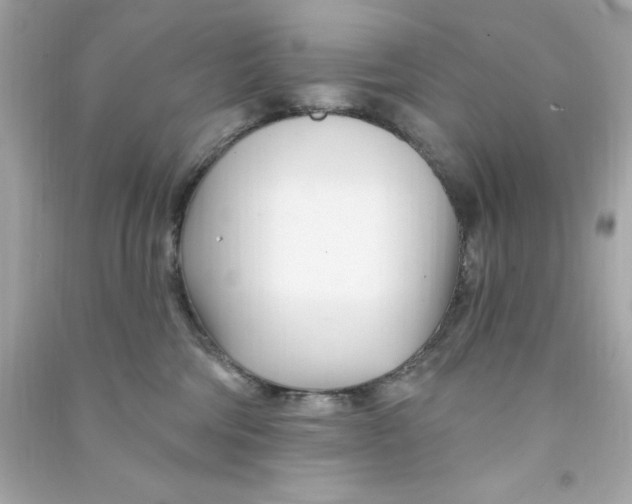 X0000090480330200708102202