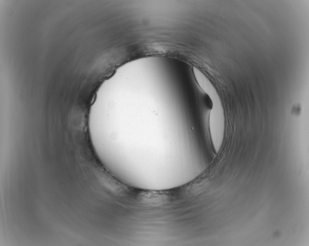 X0000090480331200708102202