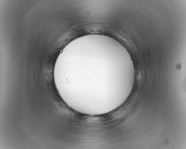 X0000090480332200708102202