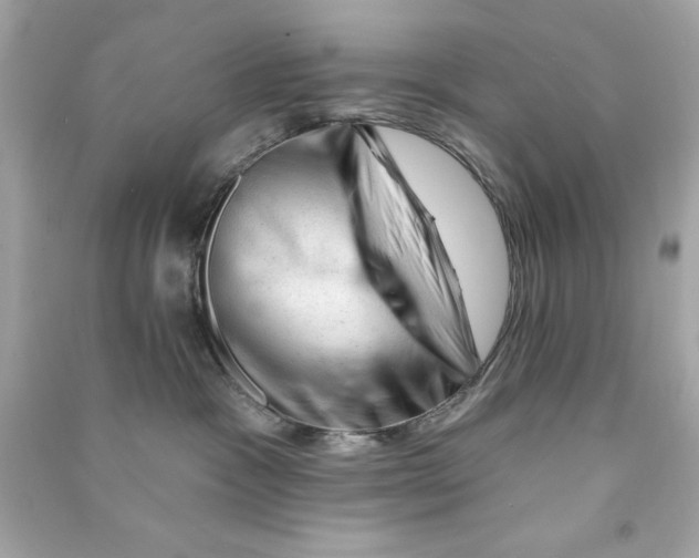 X0000090480333200708102202