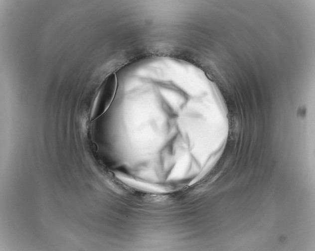 X0000090480334200708102202