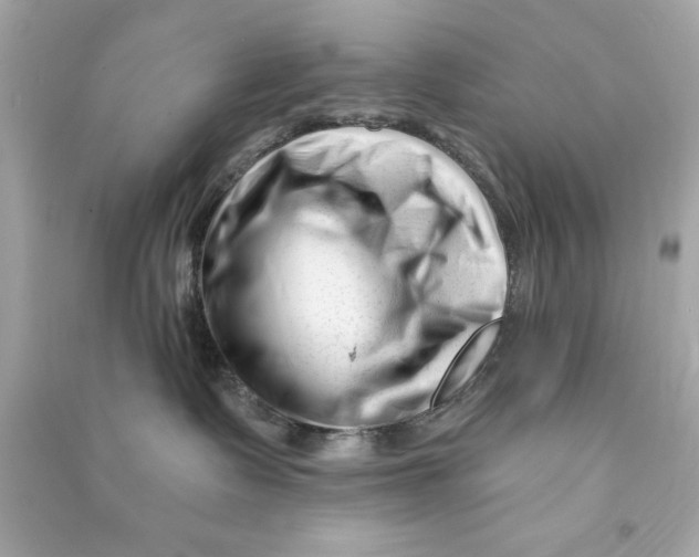 X0000090480335200708102202