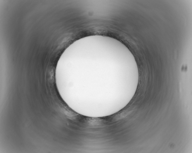 X0000090480336200708102202