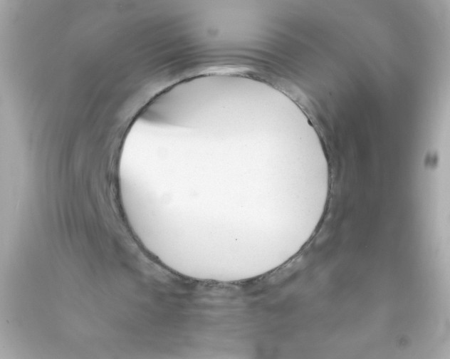 X0000090480337200708102202