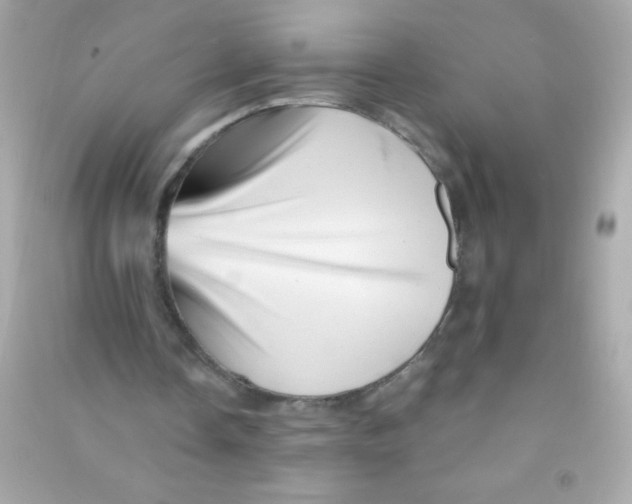 X0000090480338200708102202