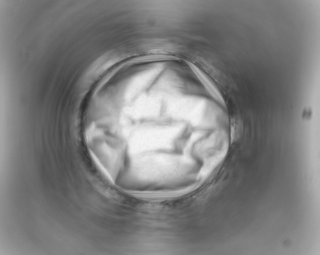 X0000090480339200708102202
