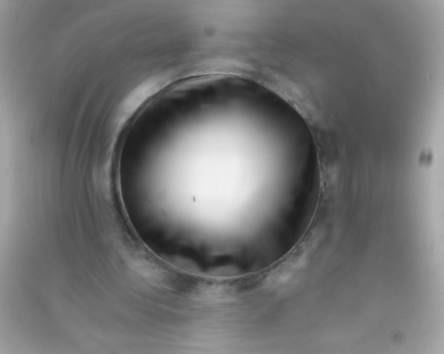 X0000090480340200708102202