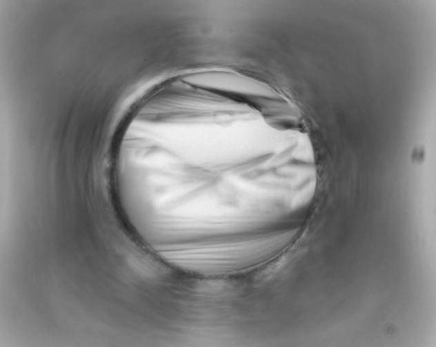 X0000090480342200708102202