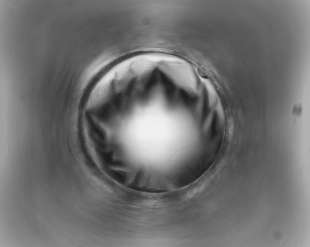 X0000090480344200708102202