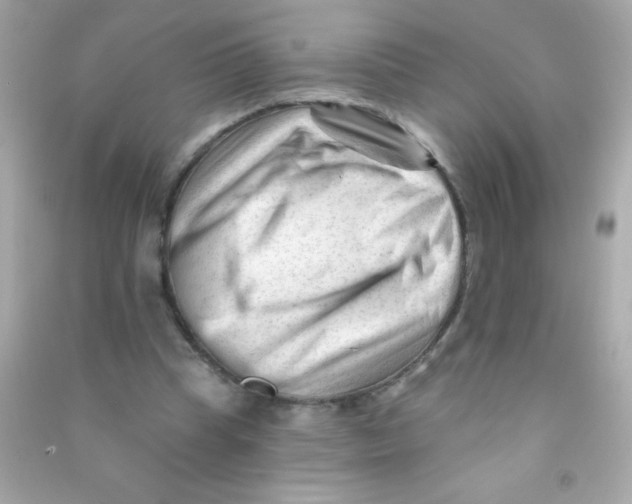 X0000090480345200708102202