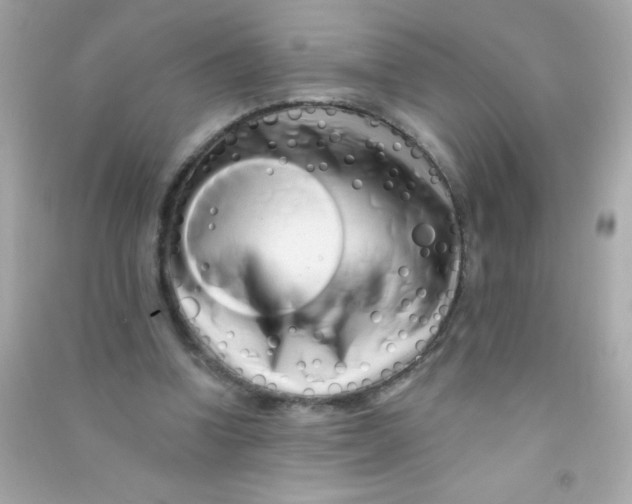 X0000090480346200708102202