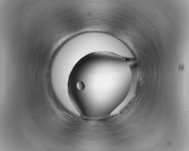 X0000090480348200708102202