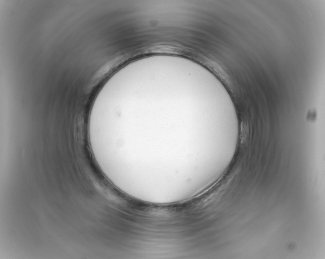 X0000090480349200708102202
