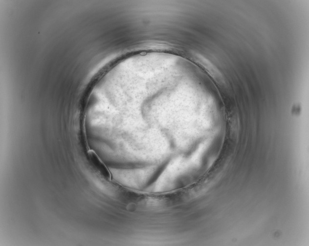 X0000090480350200708102202