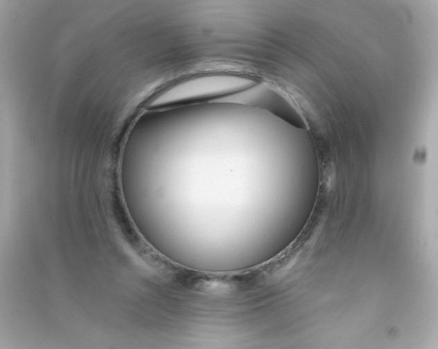 X0000090480352200708102202