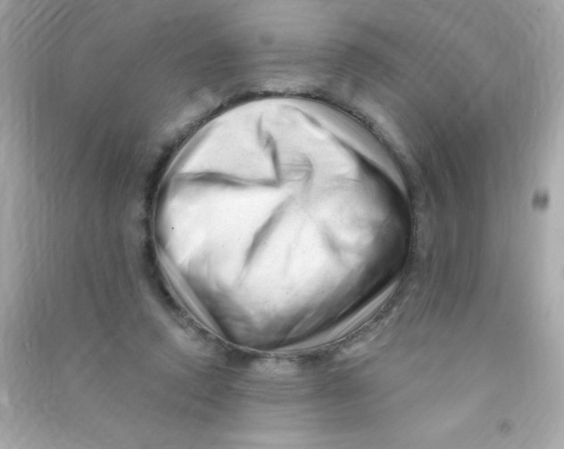 X0000090480354200708102202