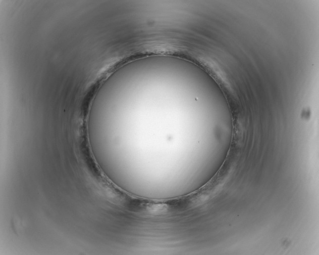 X0000090480355200708102202