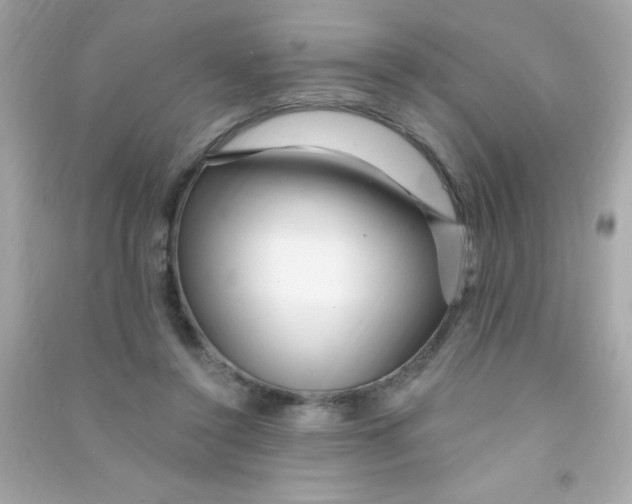 X0000090480356200708102202