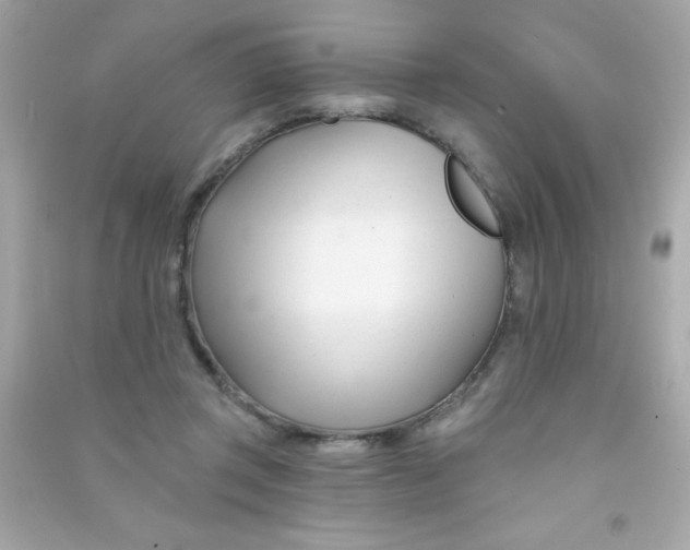 X0000090480357200708102202