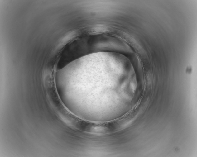X0000090480360200708102202