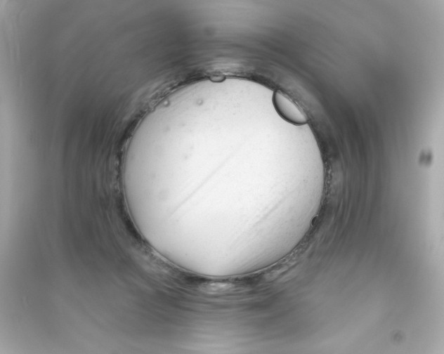 X0000090480361200708102202