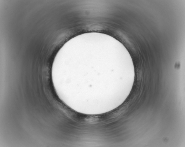 X0000090480362200708102202