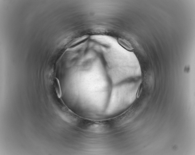 X0000090480364200708102202