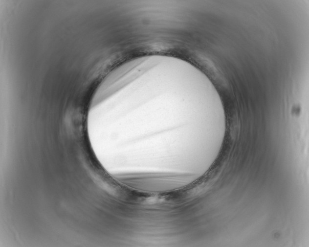 X0000090480366200708102202