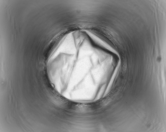 X0000090480367200708102202