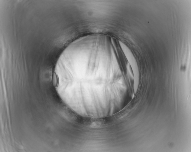 X0000090480368200708102202