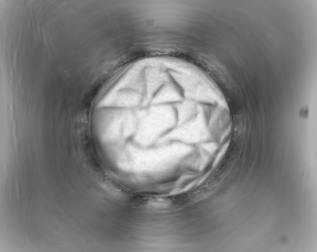 X0000090480369200708102202