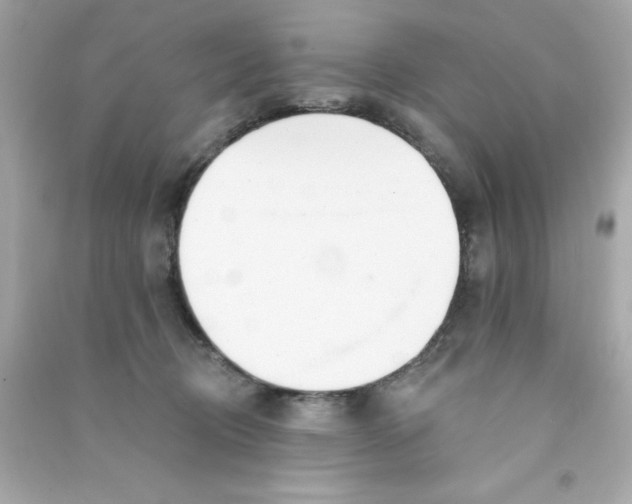 X0000090480370200708102202