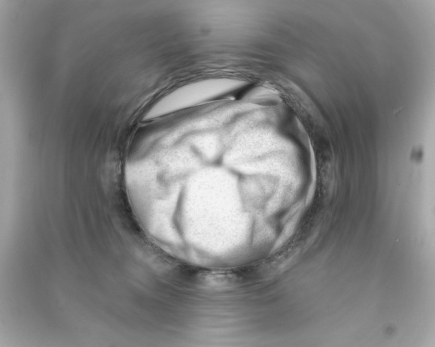 X0000090480372200708102202